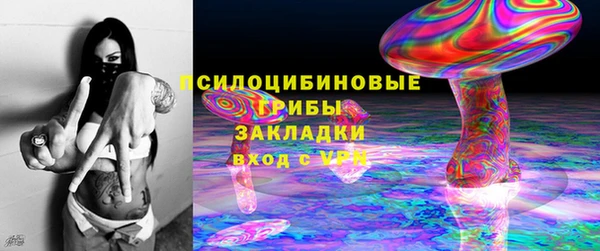 гашик Остров