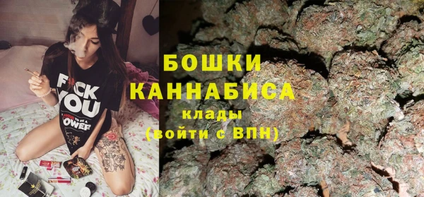 PSILOCYBIN Балахна